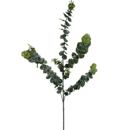 Κλαδί ευκάλυπτος 88cm